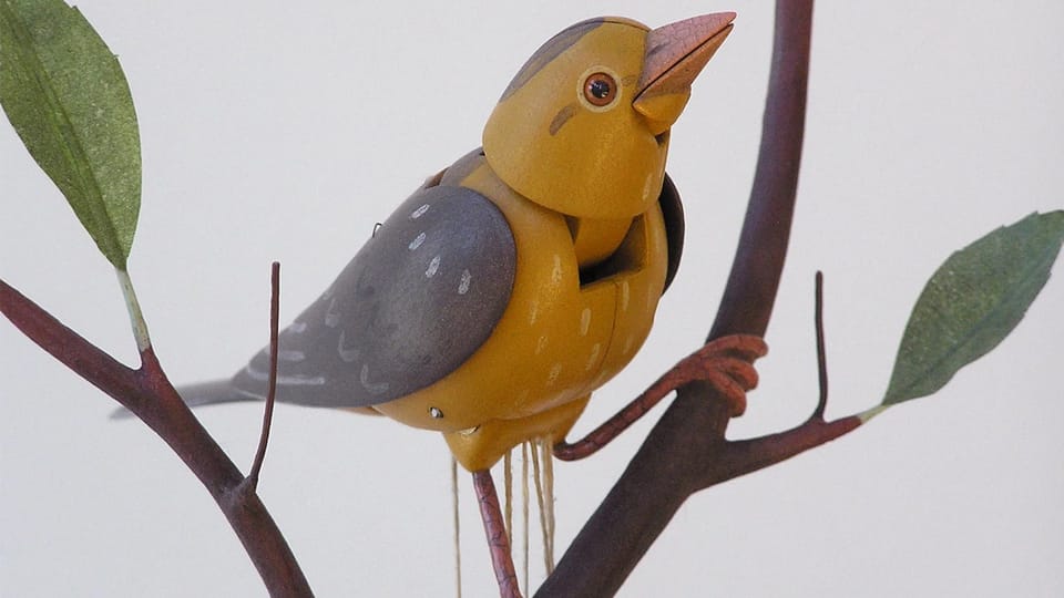 Meet Molly, the $15,000 Bird Behind Kelly Clarkson's Viral Feud